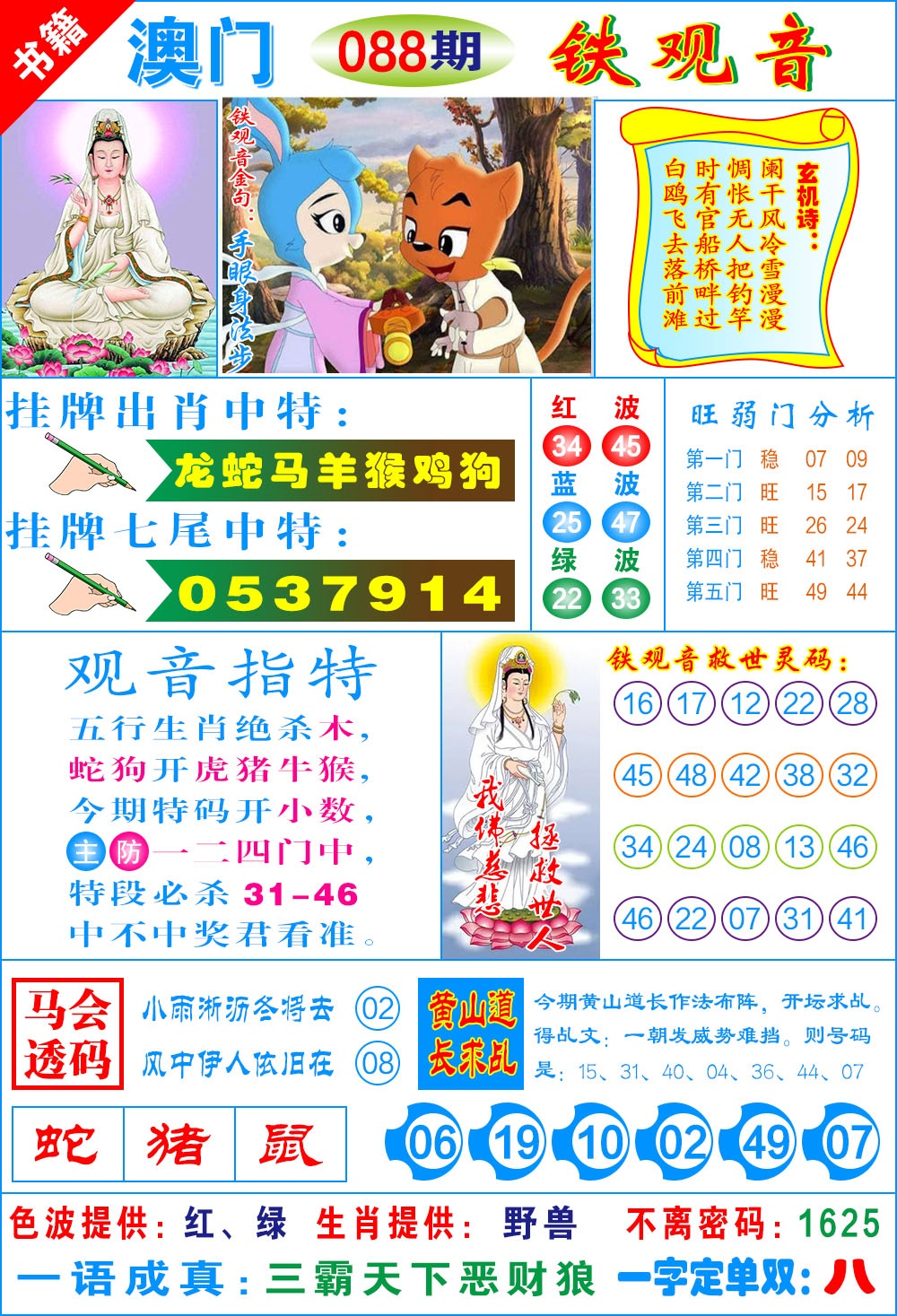 088期澳门铁观音[图]